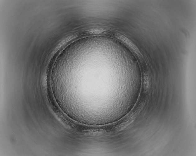 X0000112470626200908311350