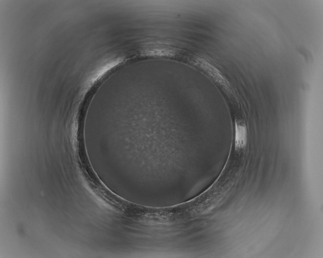 X0000112470627200908311350