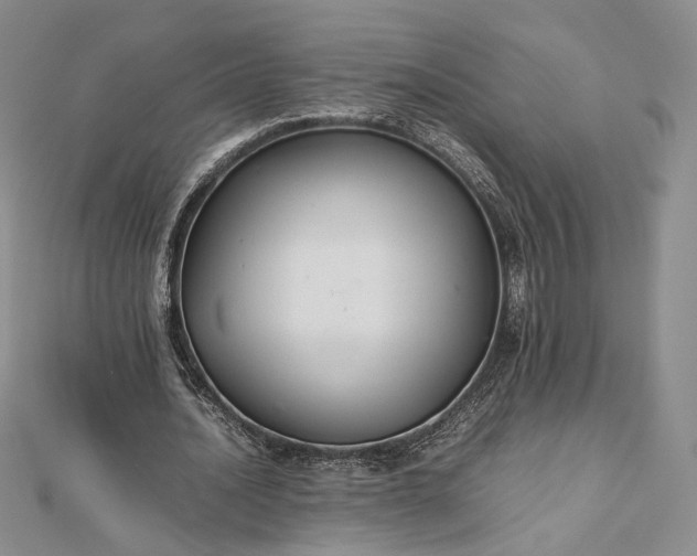 X0000112470628200908311350