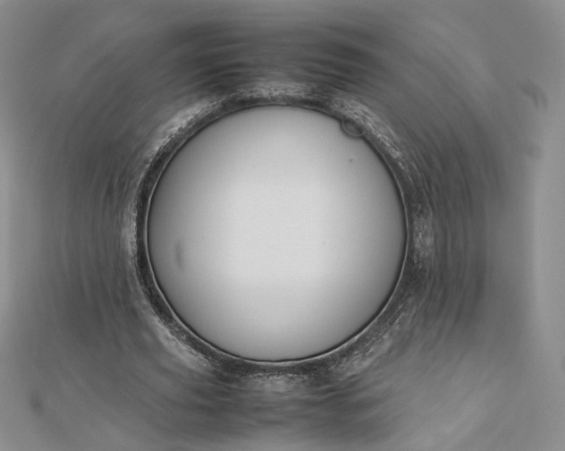 X0000112470629200908311350