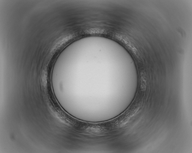 X0000112470631200908311350