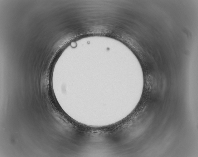 X0000112470632200908311350