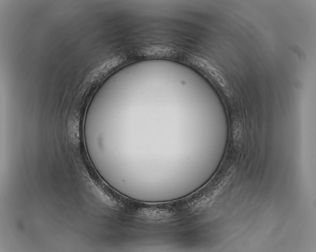 X0000112470633200908311350