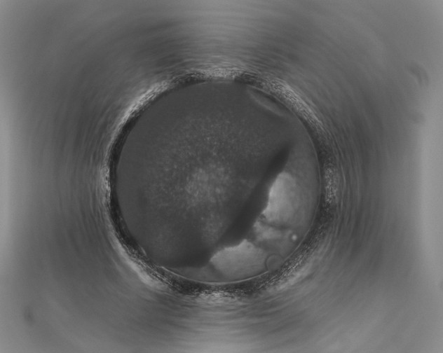 X0000112470634200908311350