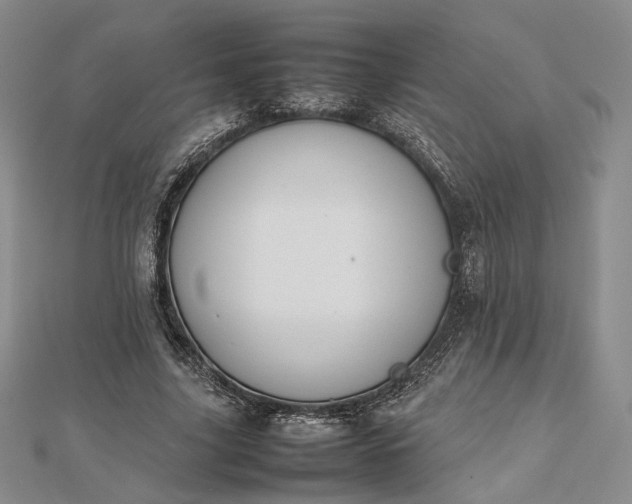 X0000112470635200908311350