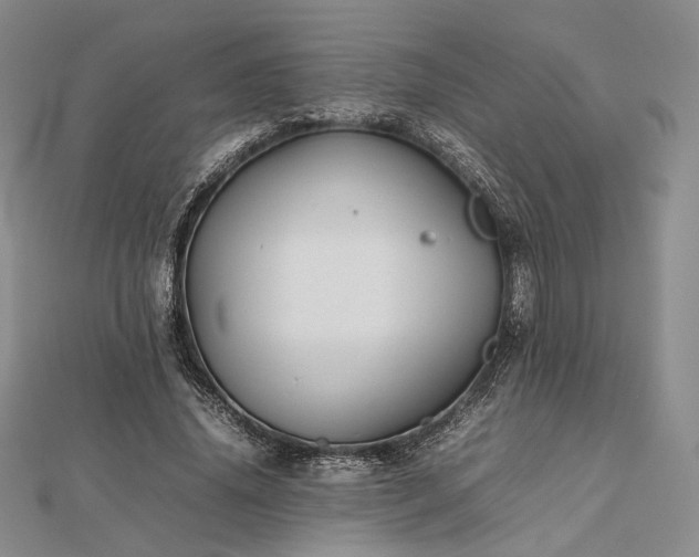 X0000112470636200908311350