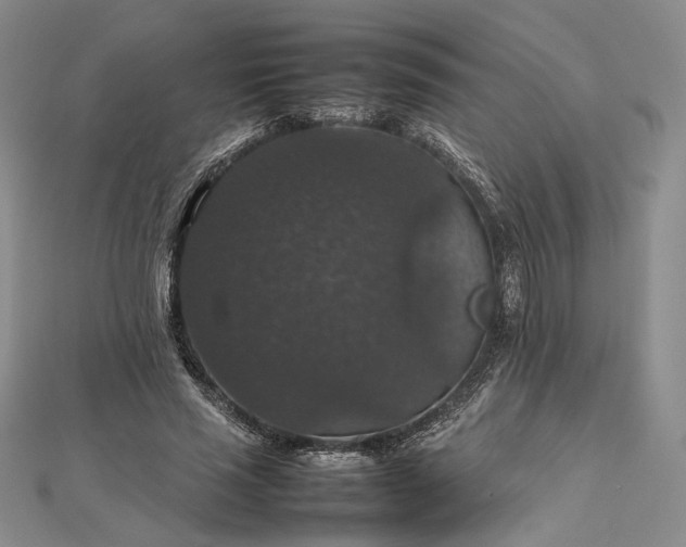 X0000112470637200908311350