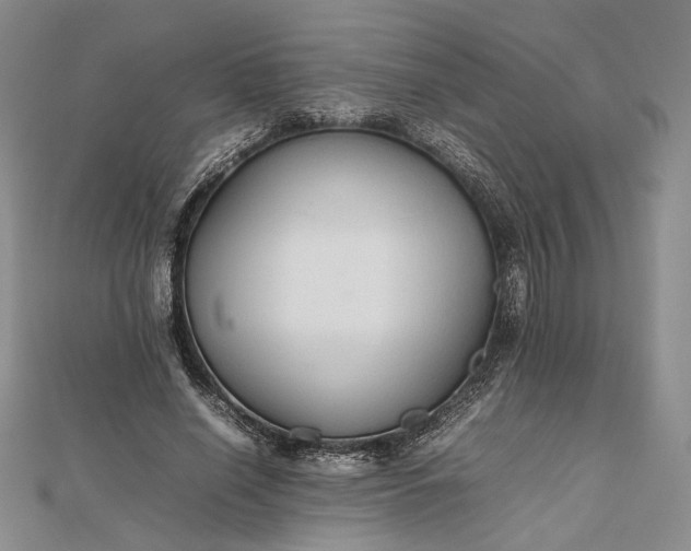 X0000112470638200908311350