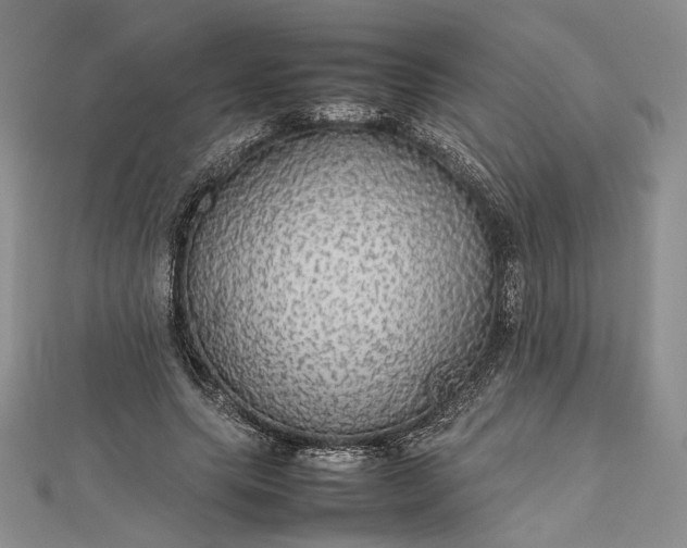 X0000112470639200908311351