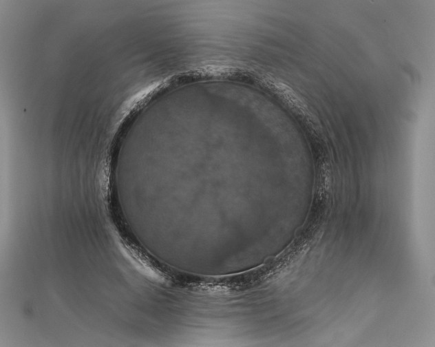 X0000112470640200908311351