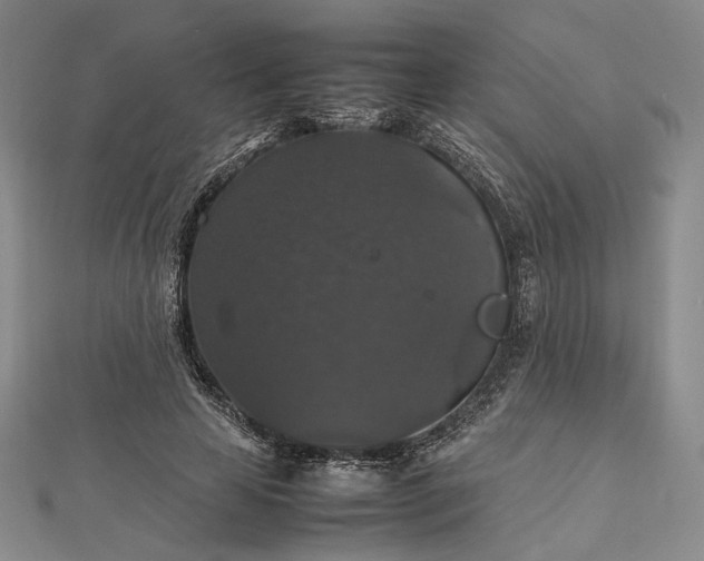 X0000112470641200908311351