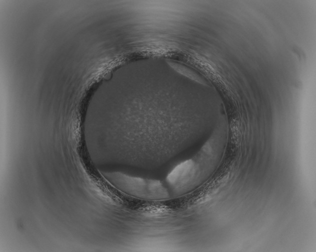 X0000112470642200908311351