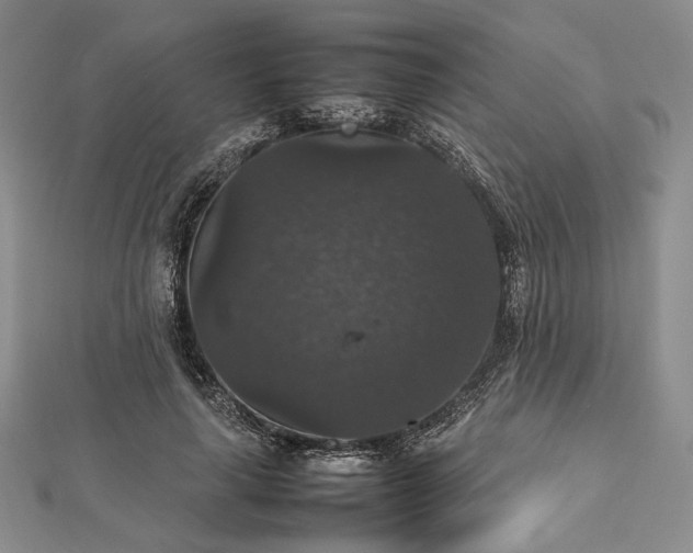 X0000112470643200908311351