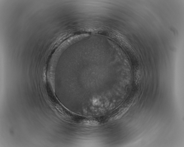 X0000112470644200908311351