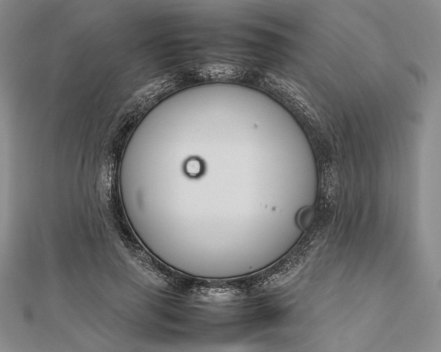 X0000112470645200908311351