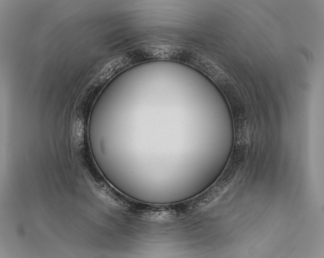 X0000112470646200908311351