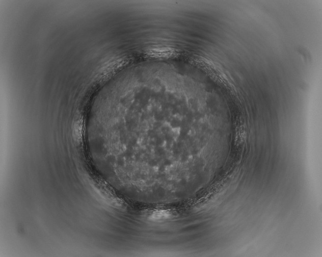 X0000112470647200908311351