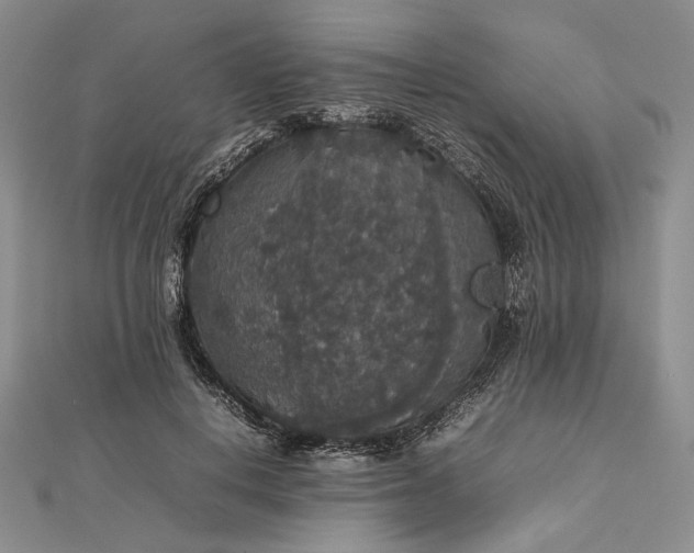 X0000112470648200908311351