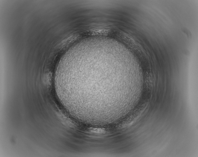 X0000112470649200908311351