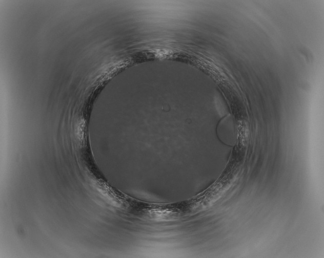 X0000112470650200908311351