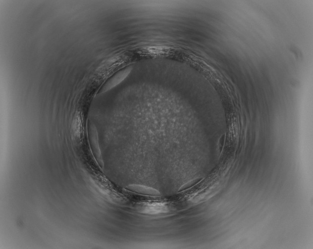 X0000112470651200908311351