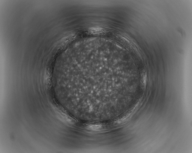 X0000112470653200908311351