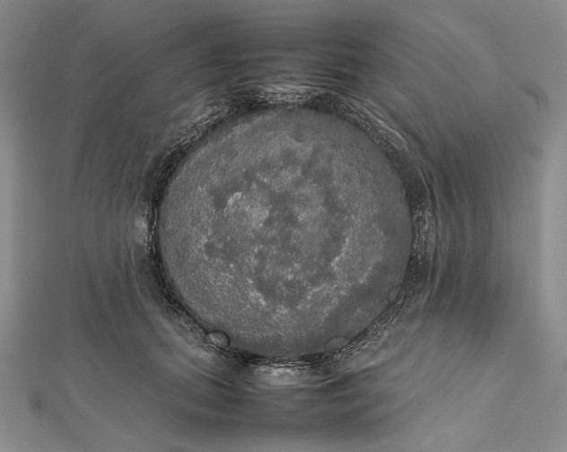 X0000112470655200908311351