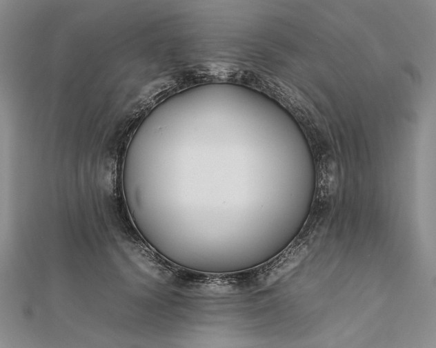 X0000112470656200908311351