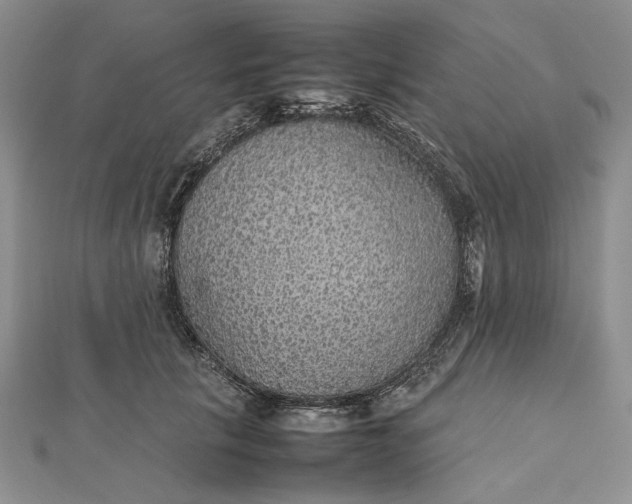 X0000112470657200908311351