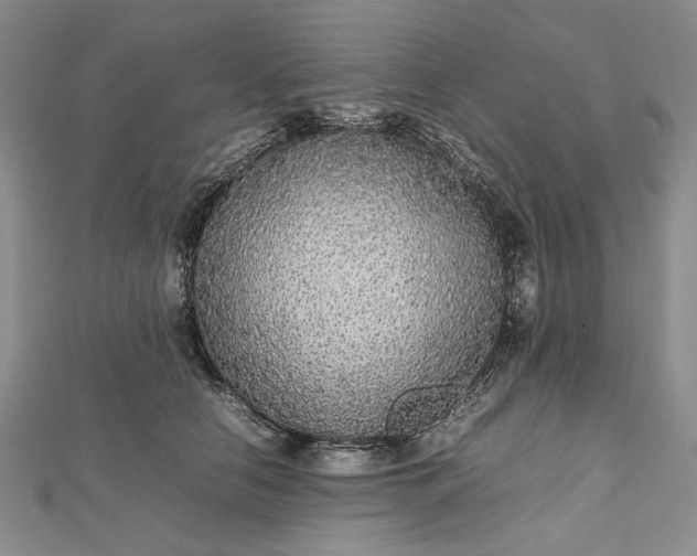 X0000112470658200908311351