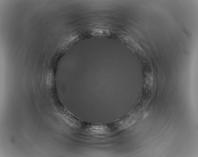 X0000112470659200908311351