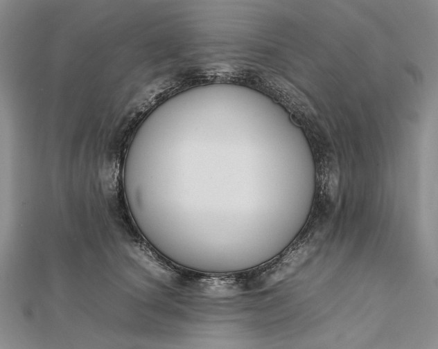 X0000112470660200908311351