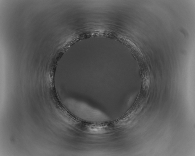 X0000112470661200908311351