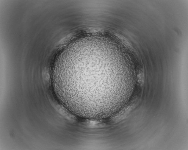 X0000112470662200908311351