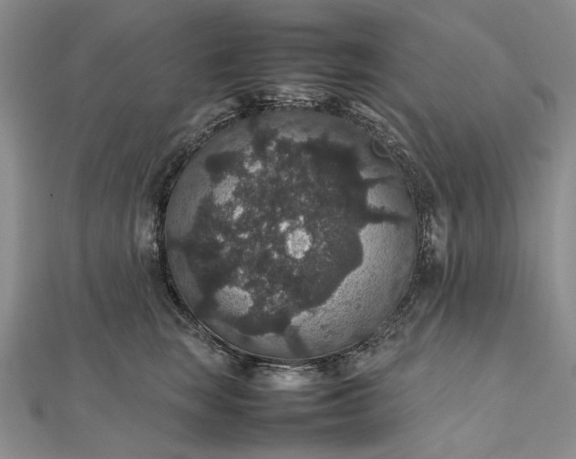 X0000112470663200908311351