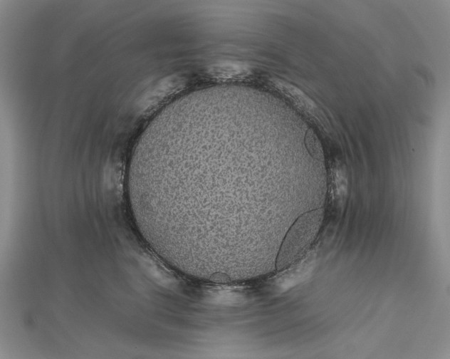 X0000112470664200908311351