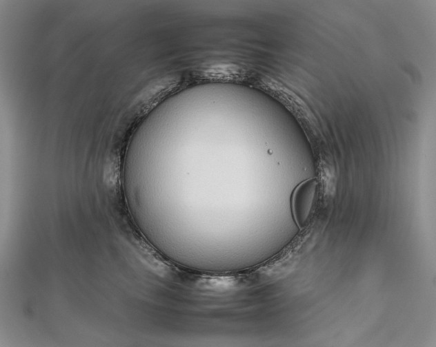 X0000112470665200908311351