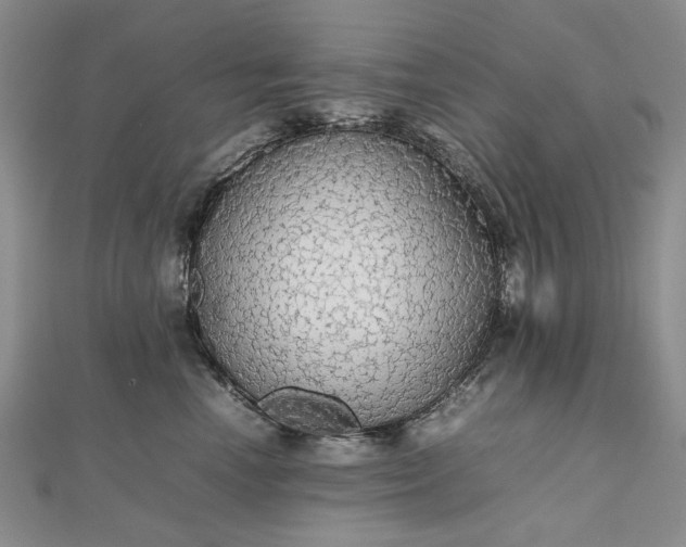 X0000112470666200908311351