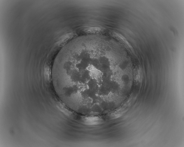 X0000112470669200908311351