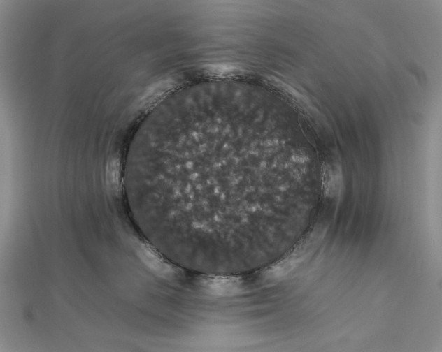 X0000112470670200908311351