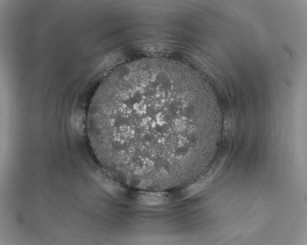 X0000112470671200908311351