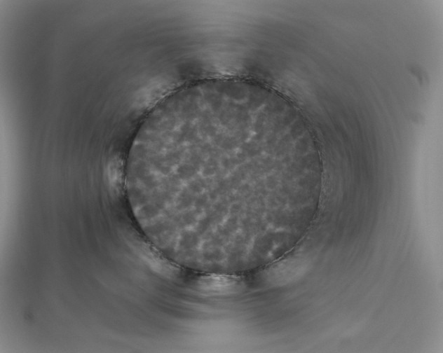 X0000112470672200908311351