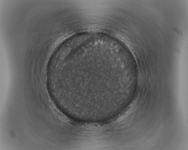 X0000112470673200908311350