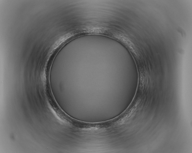 X0000112470674200908311350