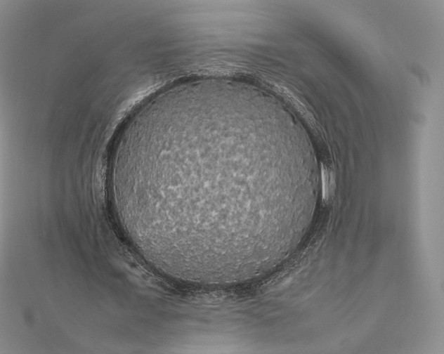 X0000112470675200908311350