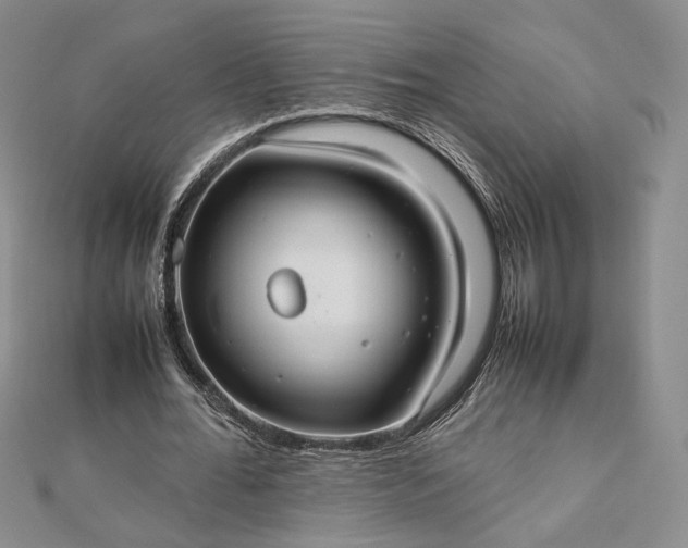 X0000112470676200908311350