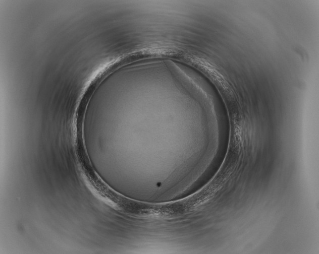 X0000112470678200908311350