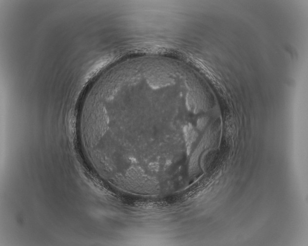 X0000112470679200908311350