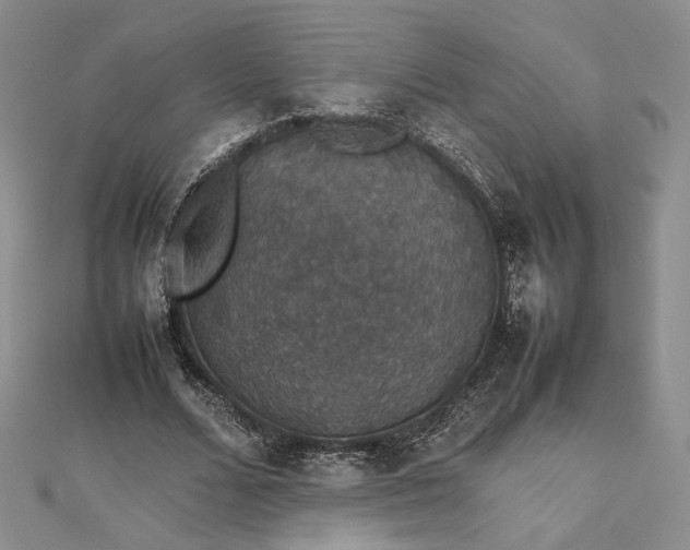 X0000112470680200908311350