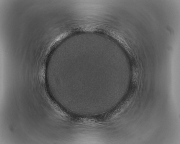 X0000112470681200908311350